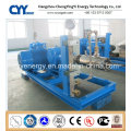 Large Flow and Medium Pressure Vacuum Piston Pump